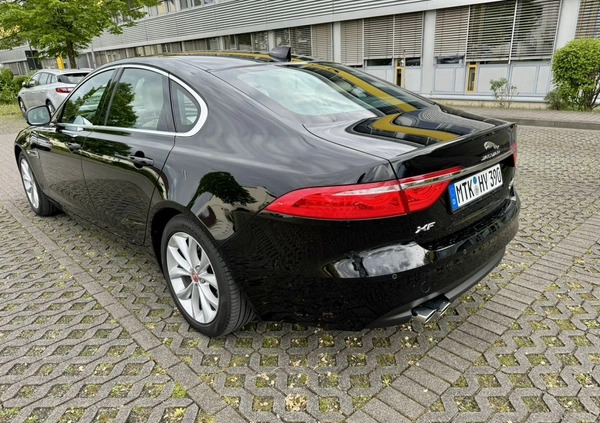 Jaguar XF cena 159900 przebieg: 39500, rok produkcji 2020 z Częstochowa małe 667
